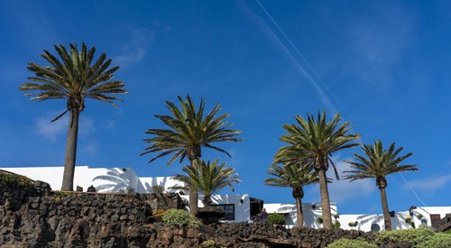 Cultural site and tourist attraction Jameos del Aqua