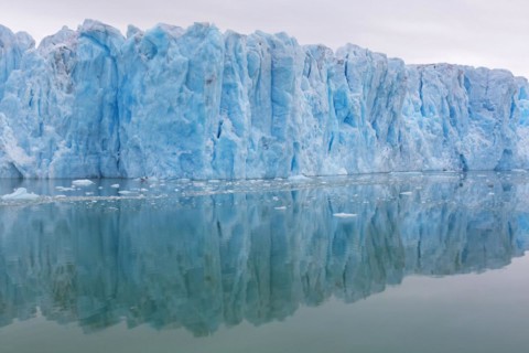 Monacobreen