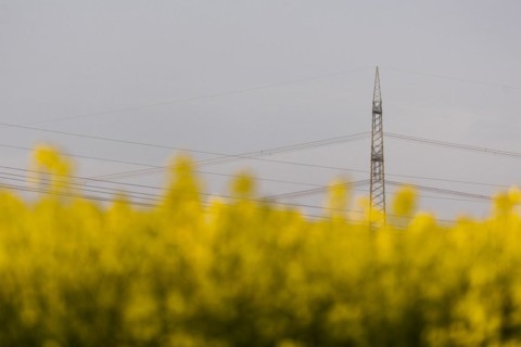 Electricity pylons looming in a landscape near Glasewitz