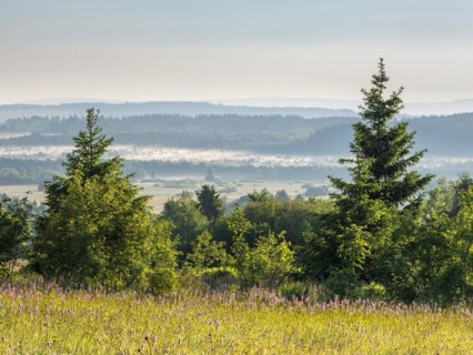 Typical landscape in the Rhoen biosphere reserve