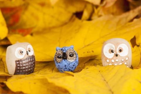Owls Figures on Autumn Leaves