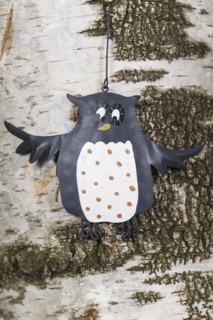 Owl sign on a birch bark