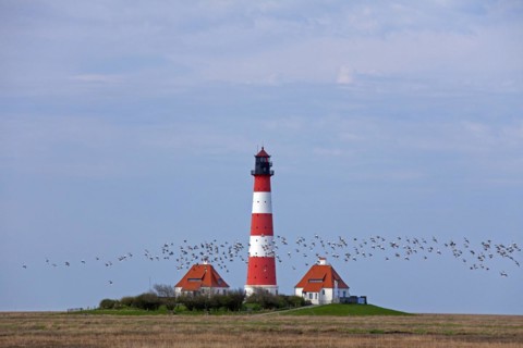 Lighthouse Westerheversand and salt marshes at Westerhever