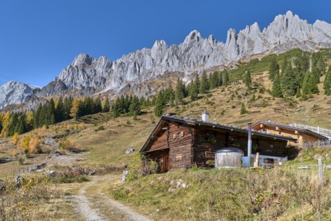 Autumnal alpine pasture in good weather