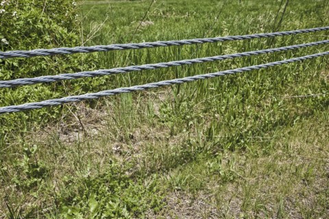 Fence in a farmer's field