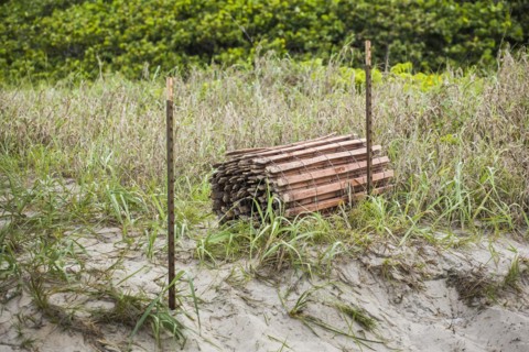 Rolled up fence near fence posts at the beach