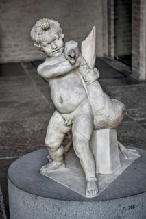 Boy with the goose