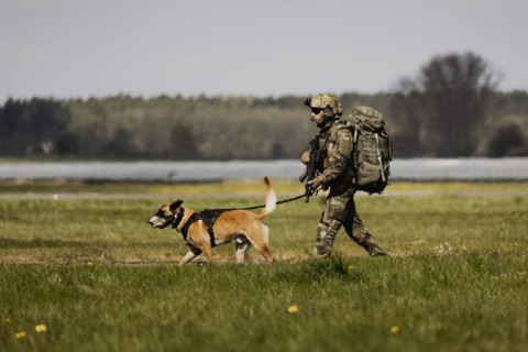 A soldier of the German Armed Forces with a mission dog