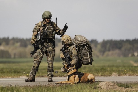 Soldiers of the German Armed Forces as well as a mission dog