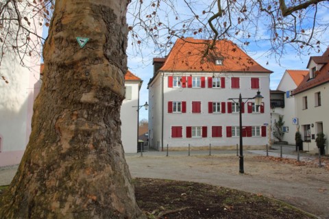 Tree trunk with symbol as natural monument and historical house at Frauenplatz