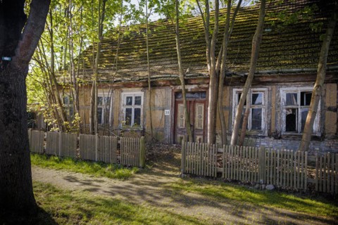 Large trees grow in front of a dilapidated abandoned house. Grossmutz