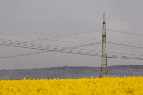 Electricity pylons looming in a landscape near Glasewitz