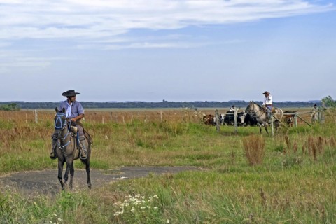 Traditional Argentine gauchos on horseback