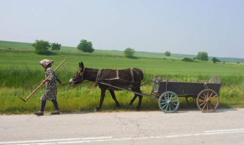 Woman cutting grass with scythe at the roadside