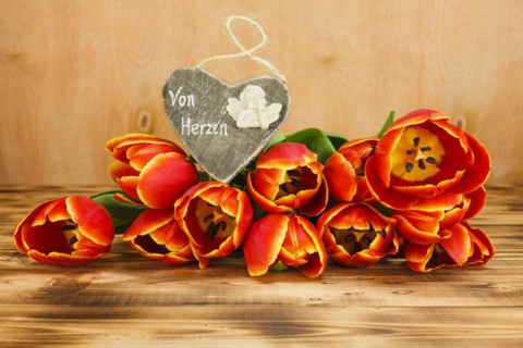 Tulips with heart