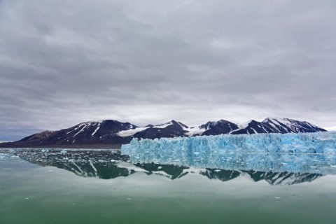 Monacobreen