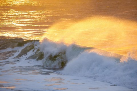 Large wave backlit