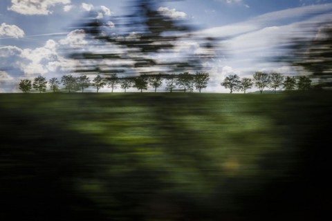 Landscape in central Germany. View from a moving train onto meadows and trees