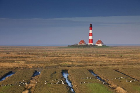 Lighthouse Westerheversand and flock of barnacle geese on salt marsh at Westerhever
