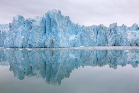 Monacobreen