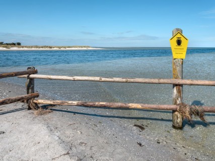 Fence on the beach of the Baltic Sea as the border of the closed-off core zone of the National Park Vorpommersche Boddenlandschaft