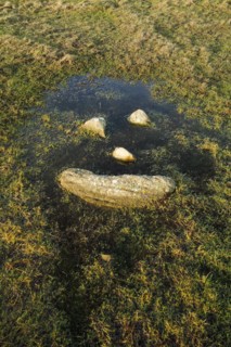 Natural smiley made of stones in the middle of a puddle of water in a meadow in the Highlands of Scotland