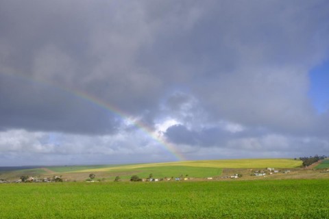 Rainbow near Heidelberg