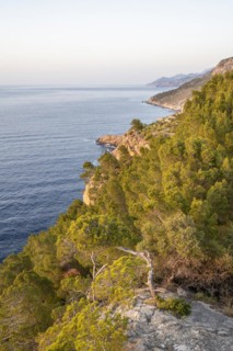 View at Torre des Verger