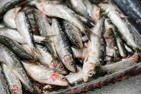 Seafood