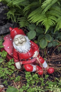 Laughing garden gnome
