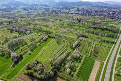 Spring in the Renchtal in the Ortenau