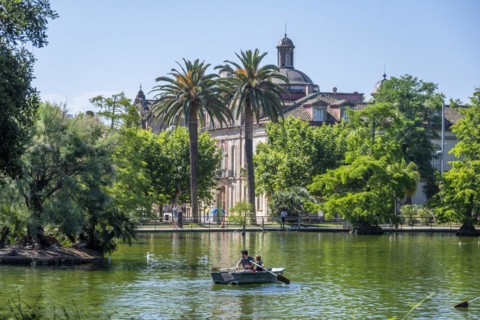 Rowing boat in a lake
