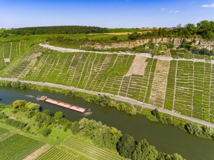 Hessigheim rock gardens with barge on the Neckar