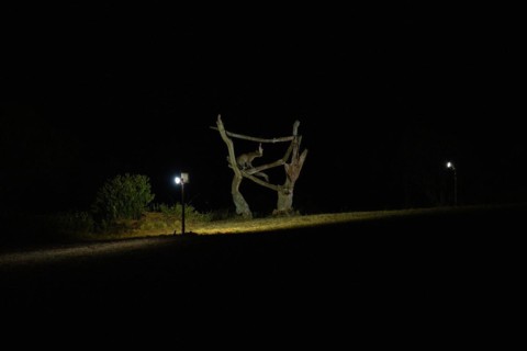 Leopard feeding at night in Tsavo west National Park