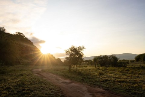 View on a safari