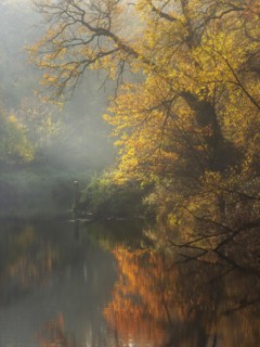 Autumn on the Mulde River