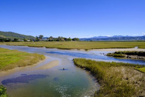 Inner Lagoon