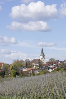 Village of Neckarwestheim with church tower