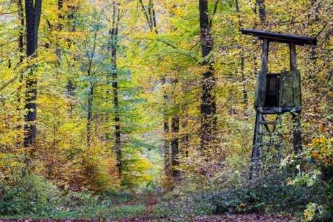 Autumn in the Swabian Alb