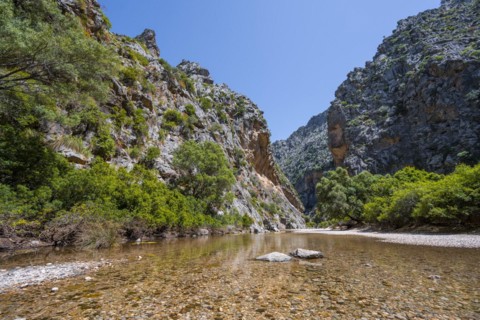 Ravine with river Torrent de Pareis