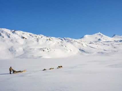 Inuit with his dog sled team