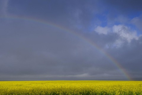 Rainbow near Heidelberg