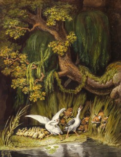 A goose and a gander with their goslings cackling in alarm as two foxes emerge from the bushes with their young