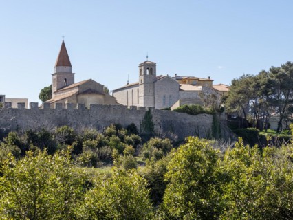 Franciscan monastery and St. Michael's church