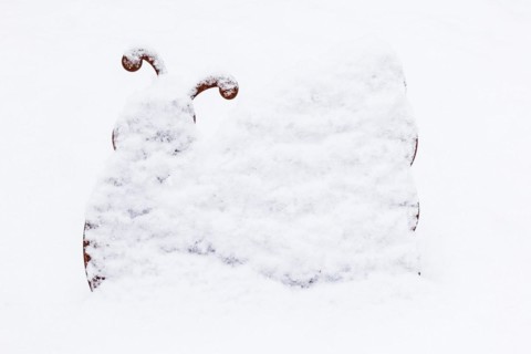 Snail made of tin in winter