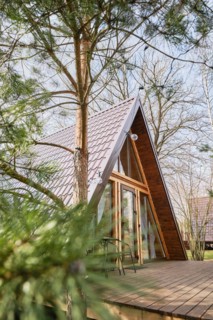 A-frame wooden chalet with a blurred pine tree on foreground