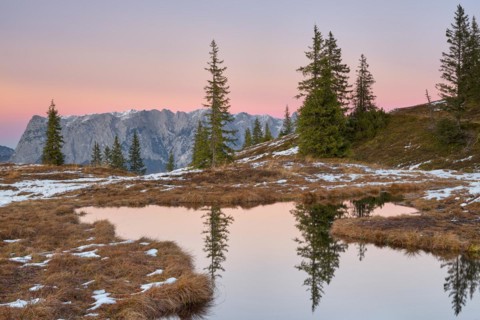 Autumn alpine pasture at sunrise