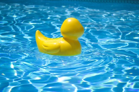 Yellow rubber duck in pool