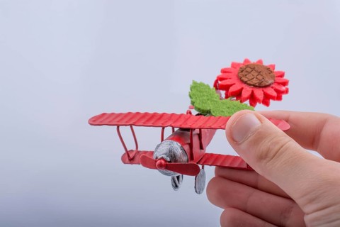 Child holding a little metal model airplane with flower in hand