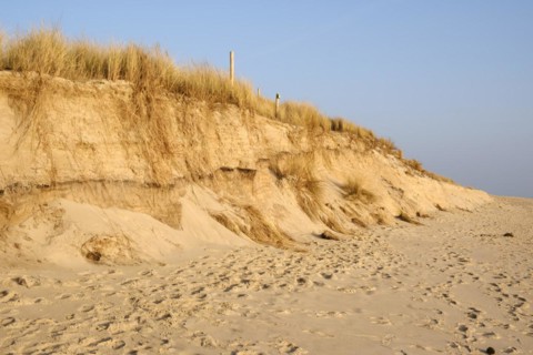 Dune with dune grass
